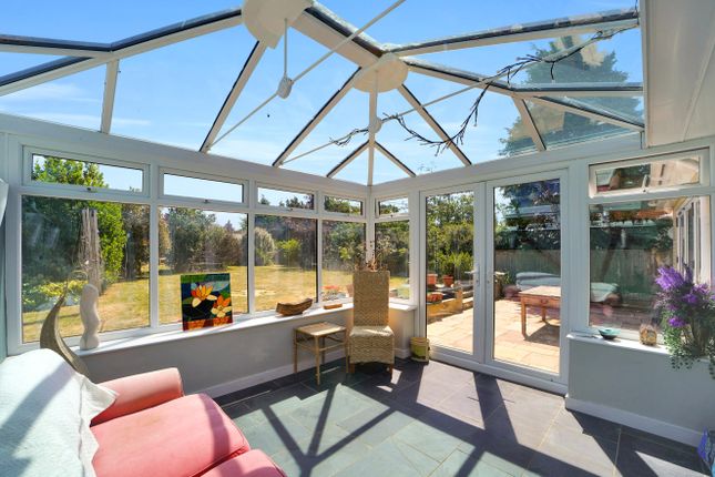 3, Botany, Highworth photo 4