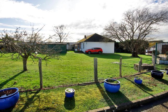 Lamberhurst Farm, Faversham photo 4