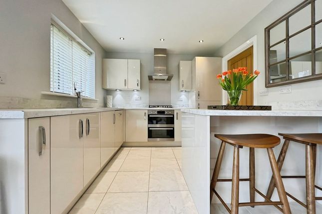 1, Holmes Row, Newcastle Upon Tyne photo 3
