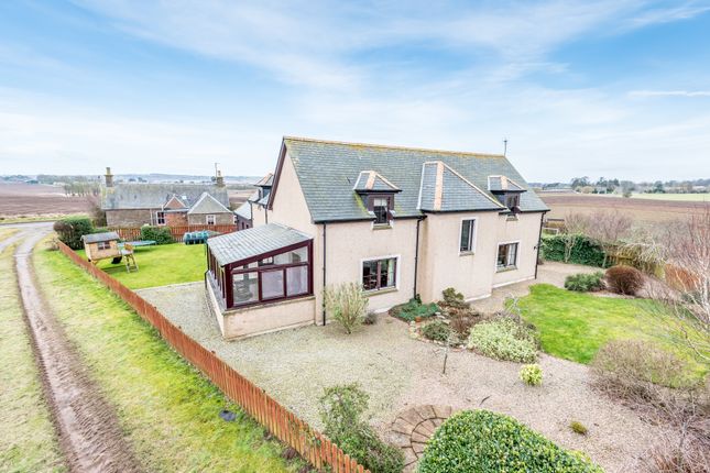 Thumbnail Detached house for sale in Montrose