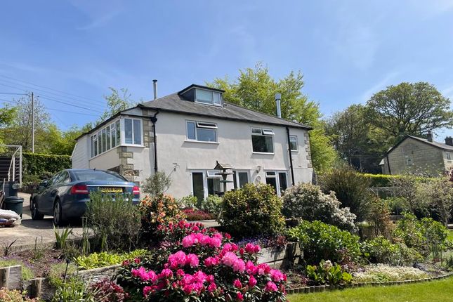 Thumbnail Detached house for sale in Lyme Road, Axminster