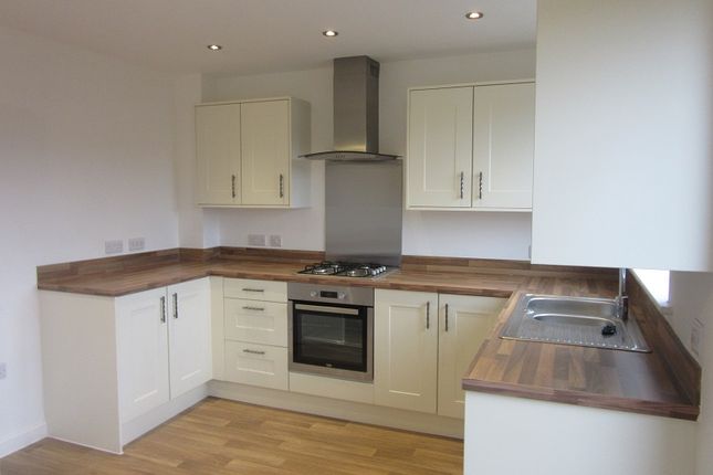 14 Vale Street, Pentrechwyth photo 4