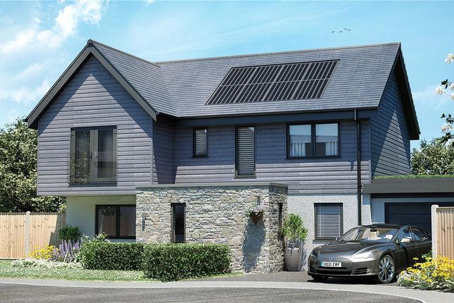 Thumbnail Detached house for sale in Barley Park, Begelly, Kilgetty, Pembrokeshire
