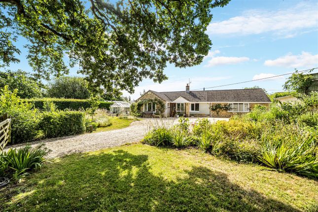 Spring Hill, Sturminster Newton photo 4