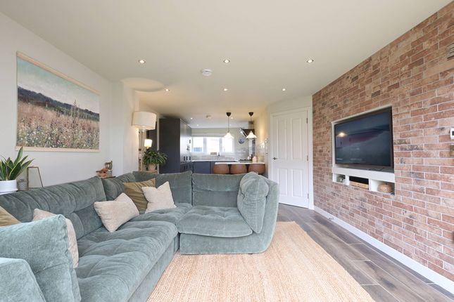 Skerryvore Loan, Edinburgh photo 4