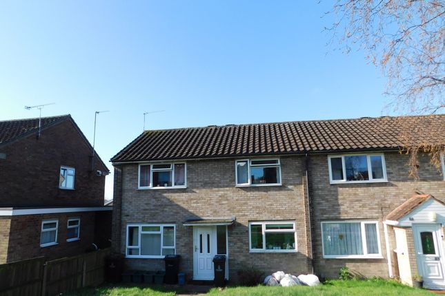 Thumbnail Semi-detached house to rent in Forest Road, Colchester, Essex