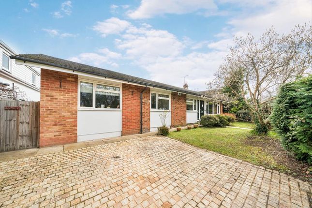Thumbnail Detached bungalow to rent in Chavey Down Road, Winkfield Row