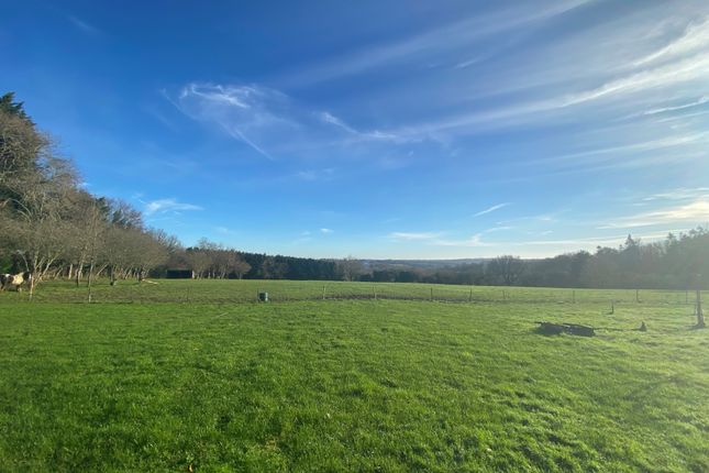 Land for sale in Pashley Road, Near Ticehurst