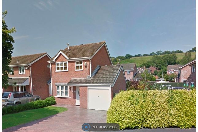 Thumbnail Detached house to rent in Chestnut Grove, Newport