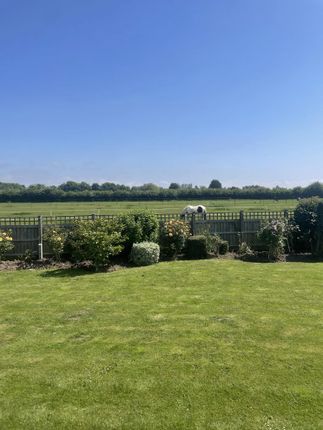 Grainsby Lodge, Croft Lane, Skegness photo 2