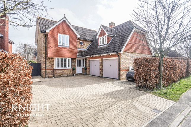 Thumbnail Detached house for sale in Keepers Green, Braiswick, Colchester