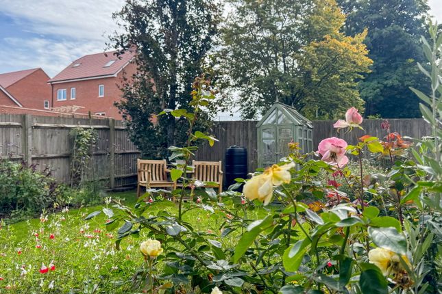 51, Beech Road, Alresford photo 4