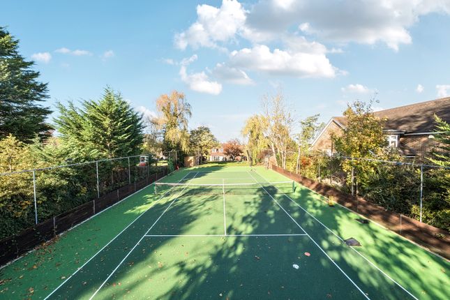 16 Ruden Way, Epsom, Surrey photo 2