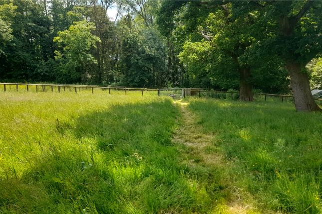 Thumbnail Land for sale in South Sway Lane, Sway, Lymington, Hampshire