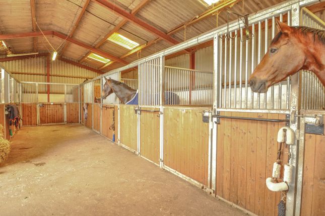 Brelston Court, Goodrich Stopgates, Ross on Wye photo 4