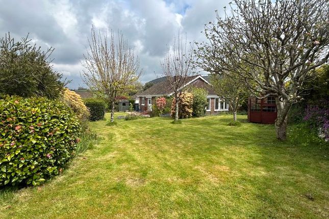 Detached bungalow to rent in Harcombe Lane East, Sidford, Sidmouth