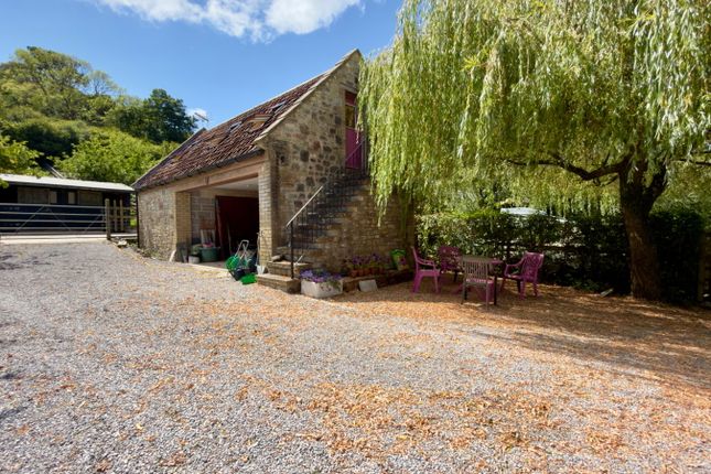 Wood Farm,Applewood, Wedmore photo 2