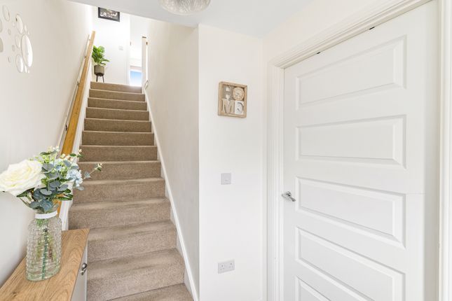 8, Burne Cruick, Edinburgh photo 3