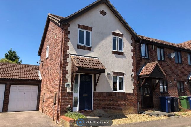 Thumbnail Semi-detached house to rent in Eagle Way, Huntingdon