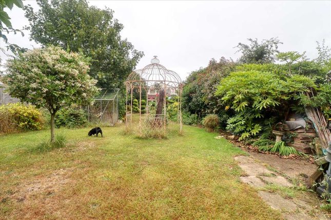 110, Jaywick Lane, Clacton on Sea photo 4