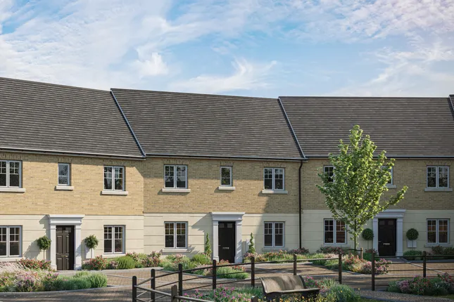 Aile Homes - Monarch Place