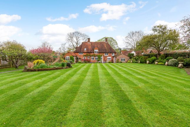 Thumbnail Detached house for sale in Ripley Road, East Clandon