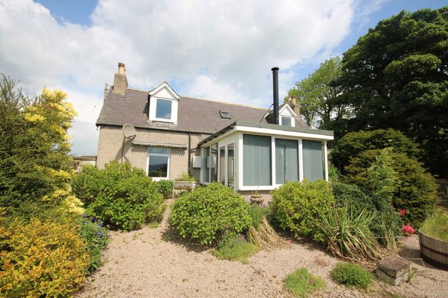 Thumbnail Detached house for sale in Braehead Cottage, Old Rayne, Huntly