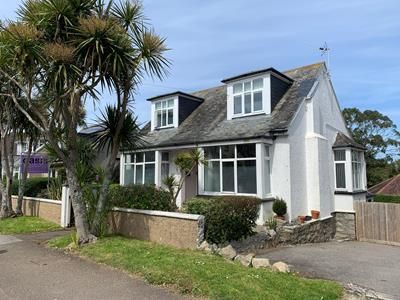 Oasis Guest House Dracaena Avenue Falmouth Cornwall Tr11 Hotel