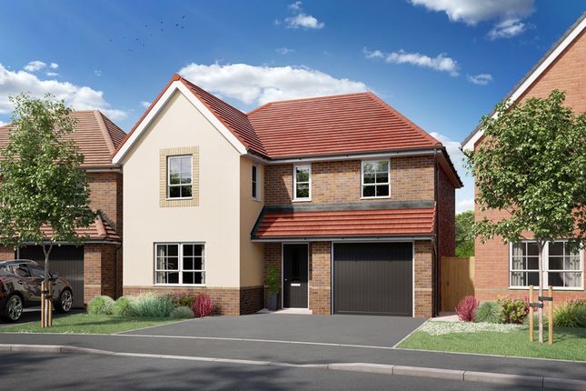 Thumbnail Detached house for sale in "Hale" at Stone Road, Beaconside, Stafford
