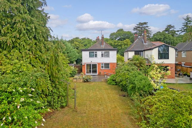 339, Main Road, Ipswich photo 4
