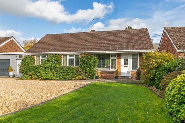 Thumbnail Detached bungalow for sale in Springvale Road, Winchester