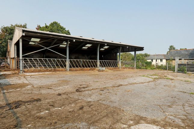 Patchacott Farm [LOT 1], Patchacott, Beaworthy photo 5
