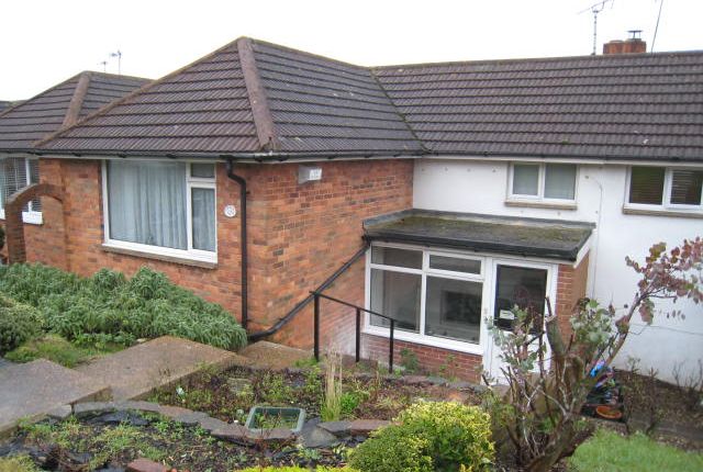 Thumbnail Semi-detached bungalow to rent in Canfield Close, Brighton