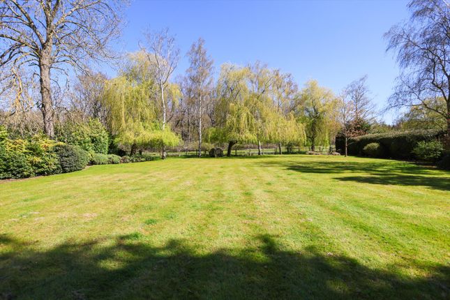 21 Princes Drive, Oxshott photo 3