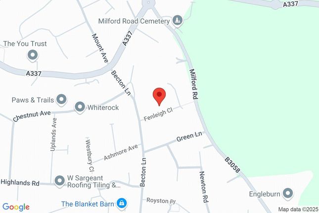Google Maps Image
