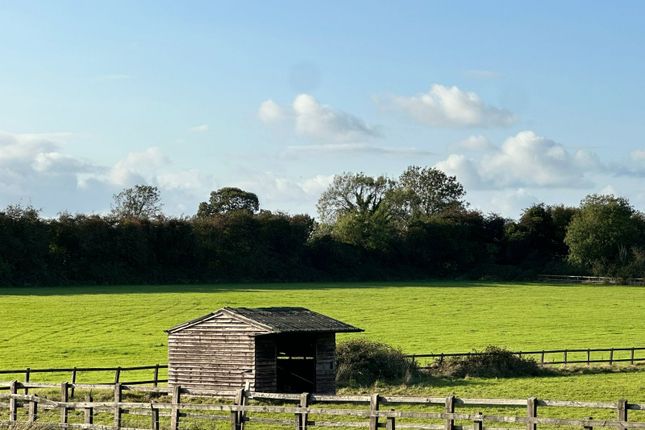 Land for sale in Homestead Road, Medstead, Alton, Hampshire