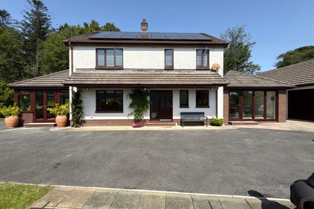 Ffynnon Morgan, Talsarn, Lampeter photo 3