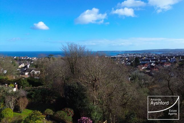 61 Dolphin Crescent, Paignton photo 2