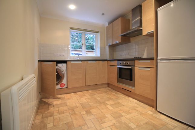 Thumbnail Flat to rent in Yarmouth Road, Norwich