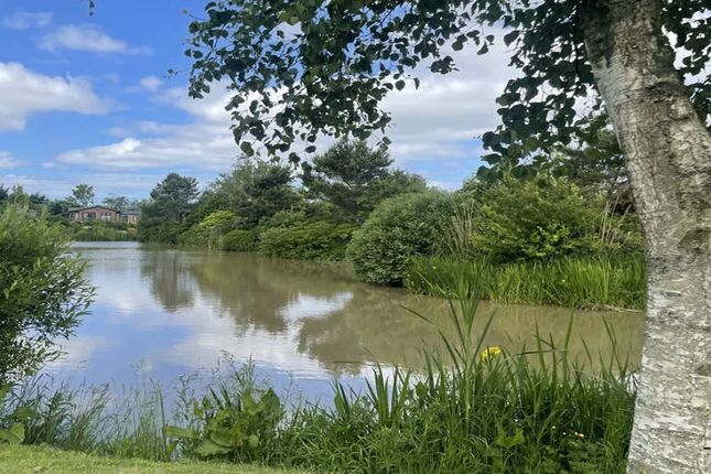 Highfield, Leisure Lodge Park, Hambleton photo 2