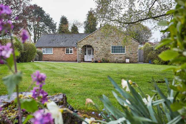 Detached bungalow for sale in West Leys Park, Swanland