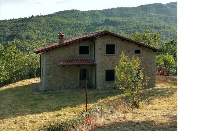 Thumbnail Property for sale in 52010 Talla, Province Of Arezzo, Italy