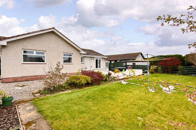 3, Morven Avenue, Montrose photo 4