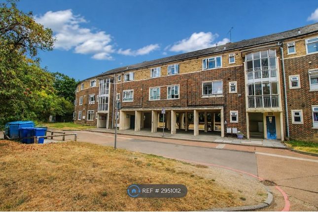 Great Plumtree, Harlow photo 5