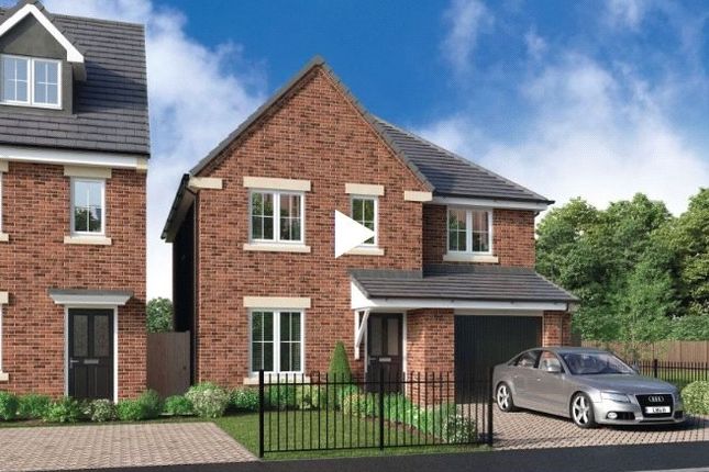 Thumbnail Detached house for sale in Wilbury Park, Miller Homes