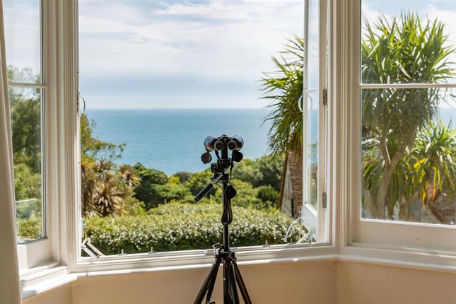 Hillside Cottage, Bonchurch Shute, Bonchurch photo 3