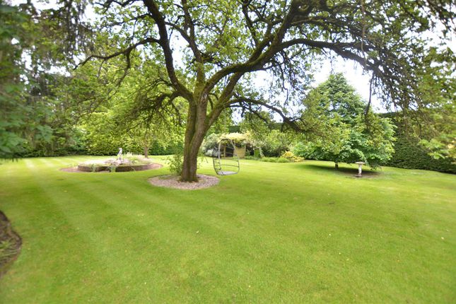 Dsc_1790.Jpg