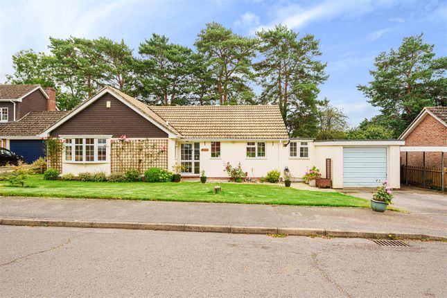 Detached bungalow for sale in Sand Close, West Wellow, Romsey, Hampshire SO51