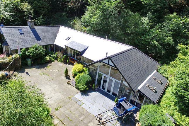 Dji_0006.Jpg