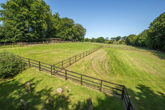 Paddocks